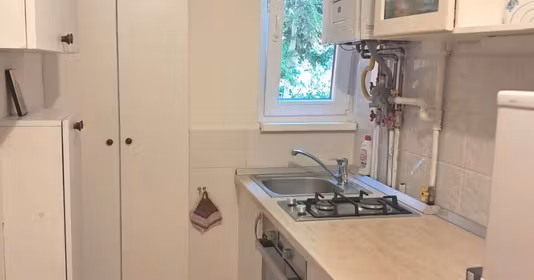 Apartament Vasile Aaron