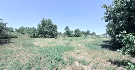 Casă Central