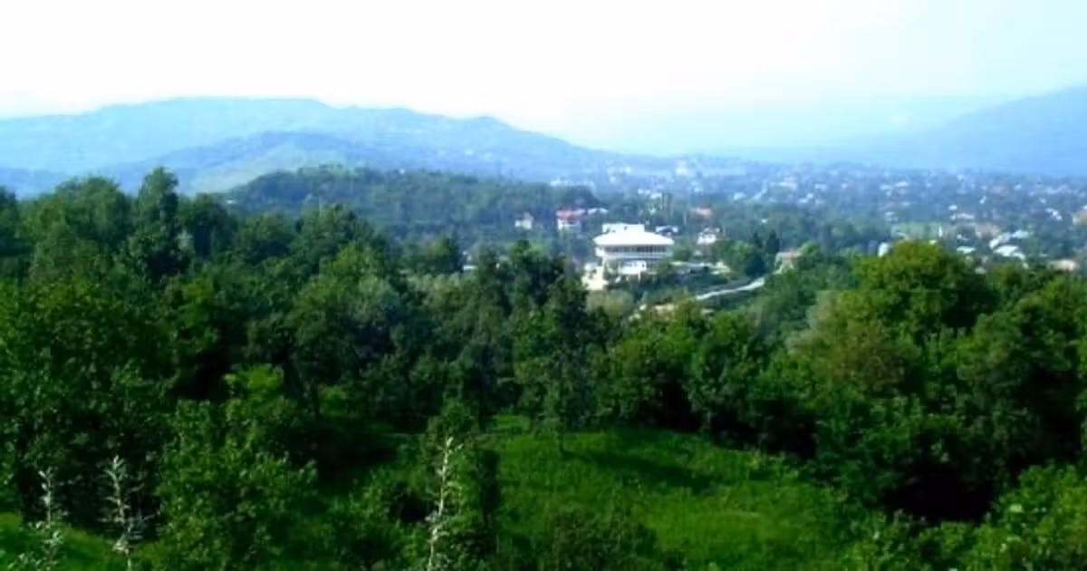 Teren Construcții intravilan de vânzare de 5000 mp, în Breaza de Sus