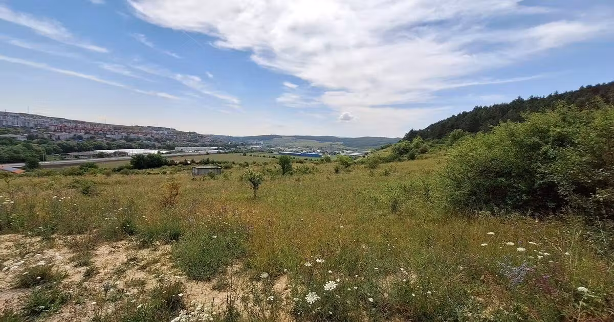 Teren Construcții intravilan de vânzare de 5800 mp, în Baciu
