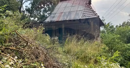 Casă Brusturi