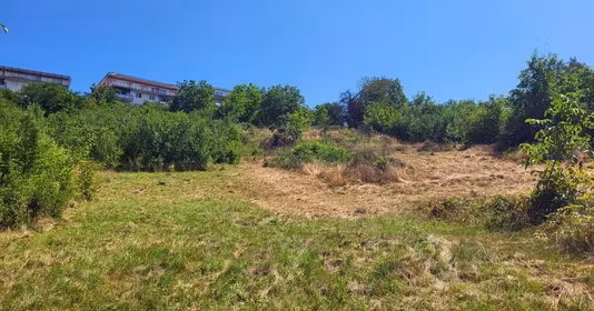 Teren Turnișor