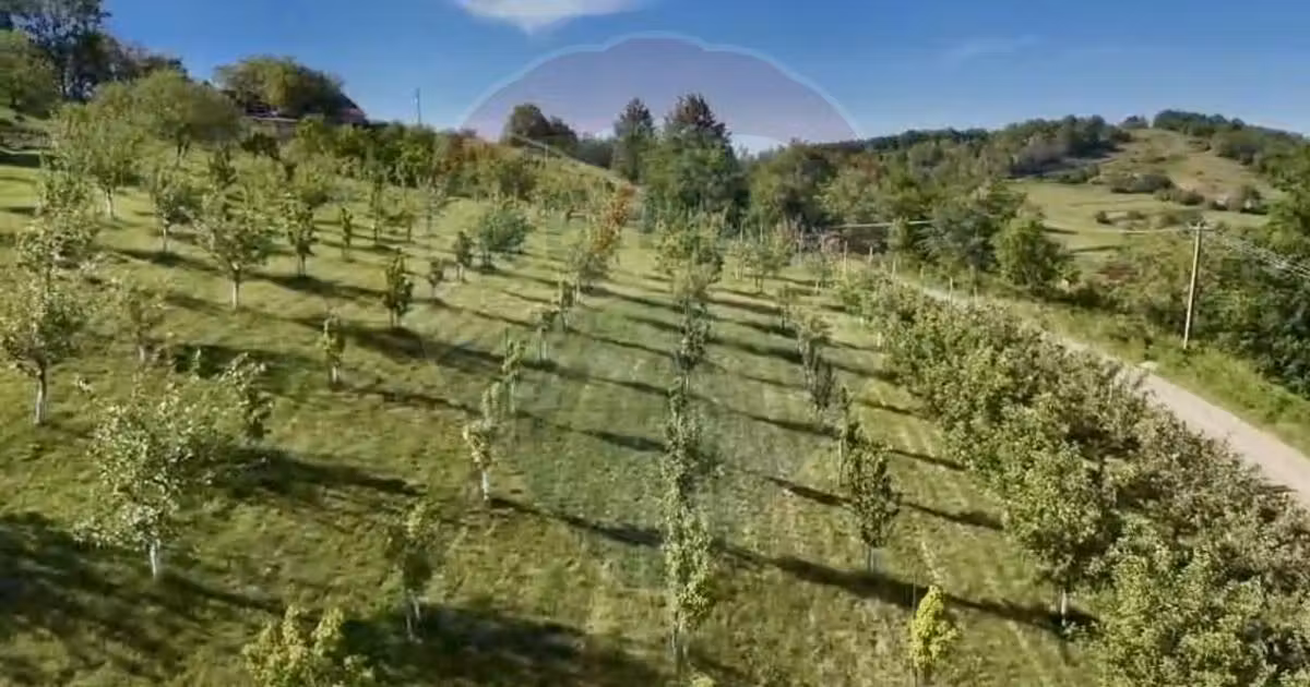 Teren agricol intravilan de vânzare de 20170 mp, în Șuncuiuș