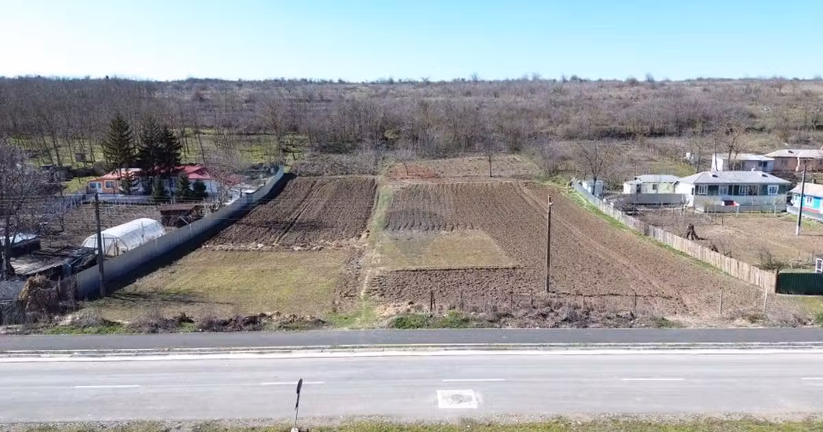 Teren Construcții intravilan de vânzare de 5313 mp, în Odaia Manolache