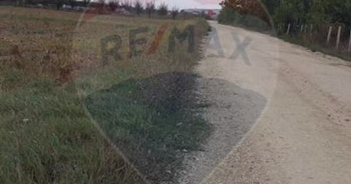 Teren agricol extravilan de vânzare de 3000 mp, în Sântion