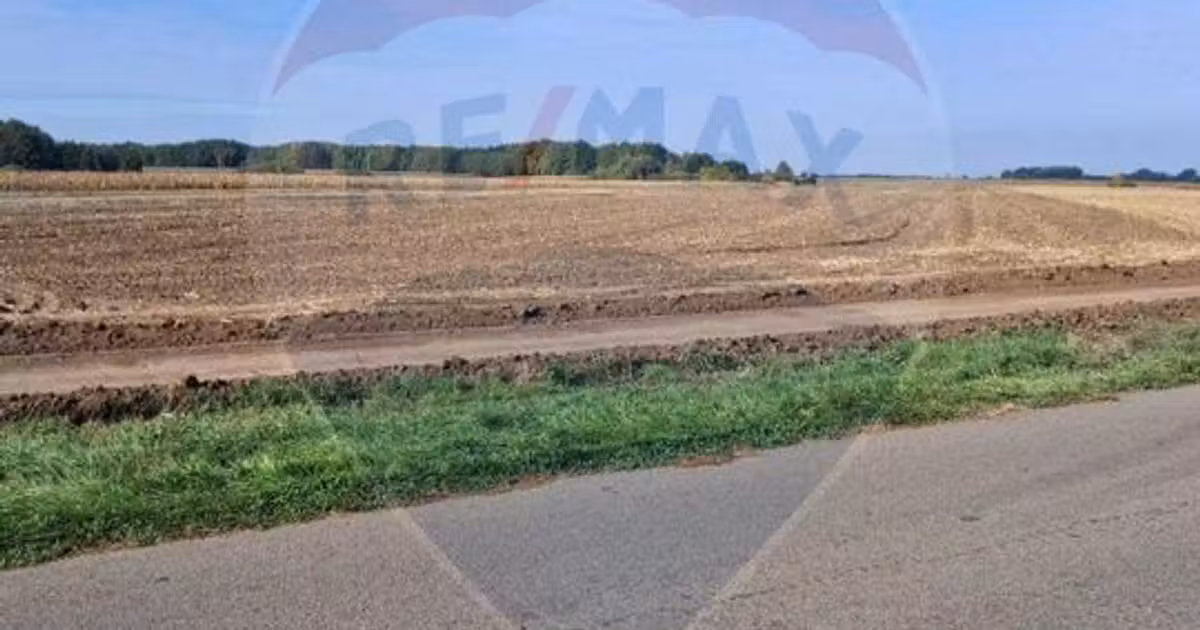 Teren agricol extravilan de vânzare de 21177 mp, în Santăul Mic