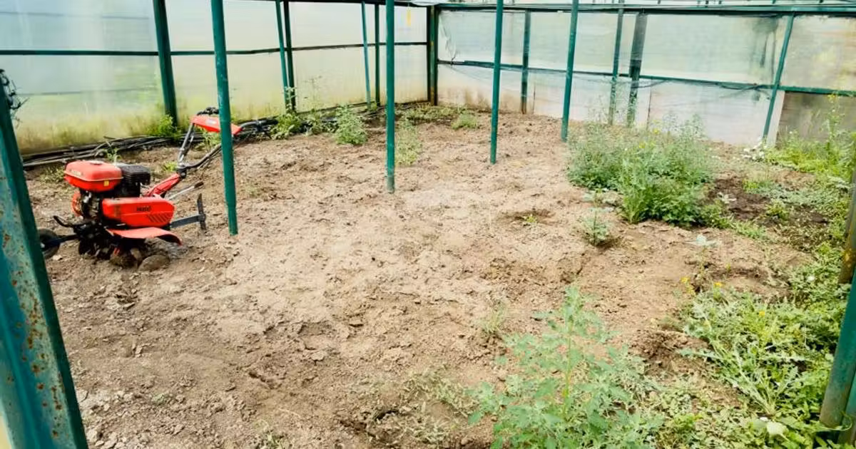 Casă individuală de vânzare cu 3 camere în Odaia Manolache