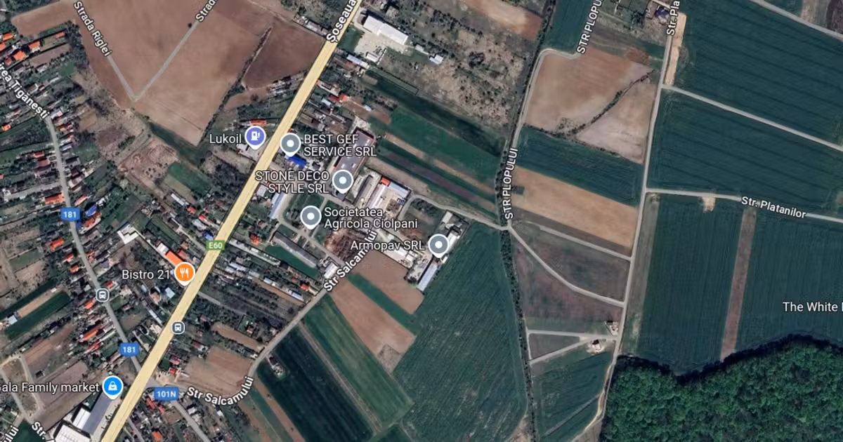 Teren Construcții intravilan de vânzare de 6900 mp, în Ciolpani