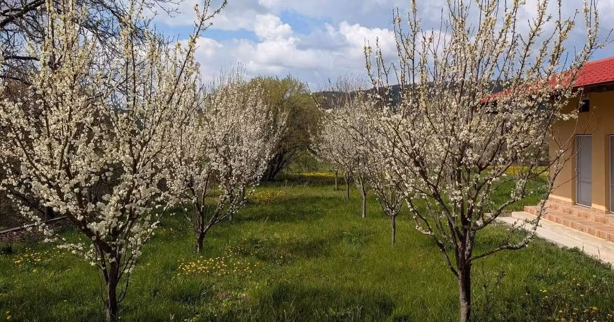 Casă individuală de vânzare cu 8 camere în Bălilești