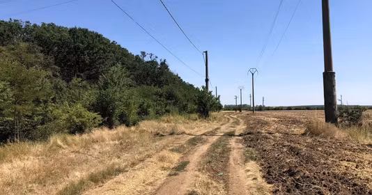 Teren Moara Vlăsiei