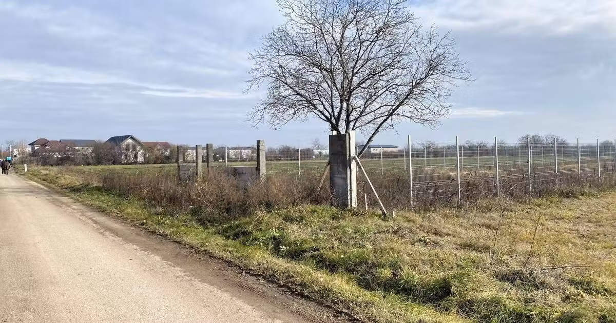 Teren Construcții intravilan de vânzare de 2409 mp, în Afumați