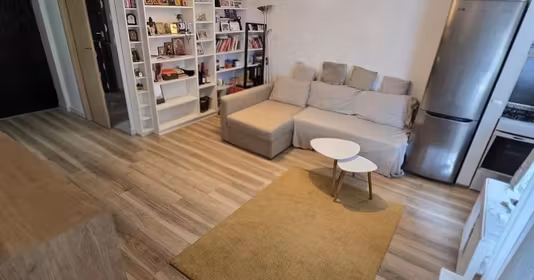 Apartament Tineretului
