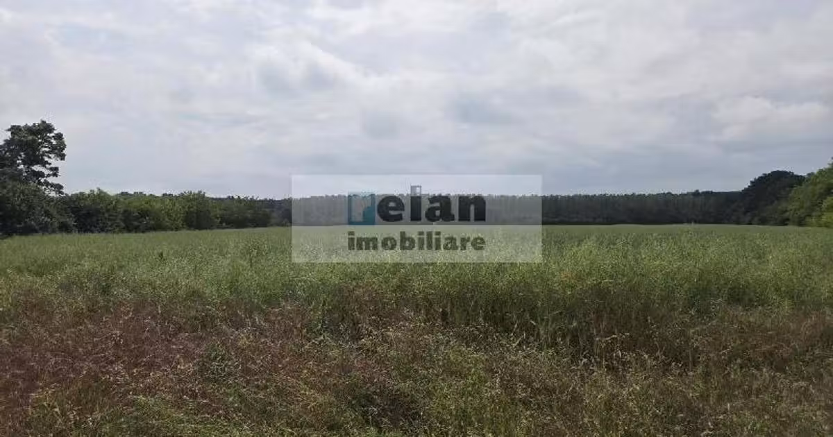 Teren Construcții intravilan de vânzare de 628 mp, în Ciolpani