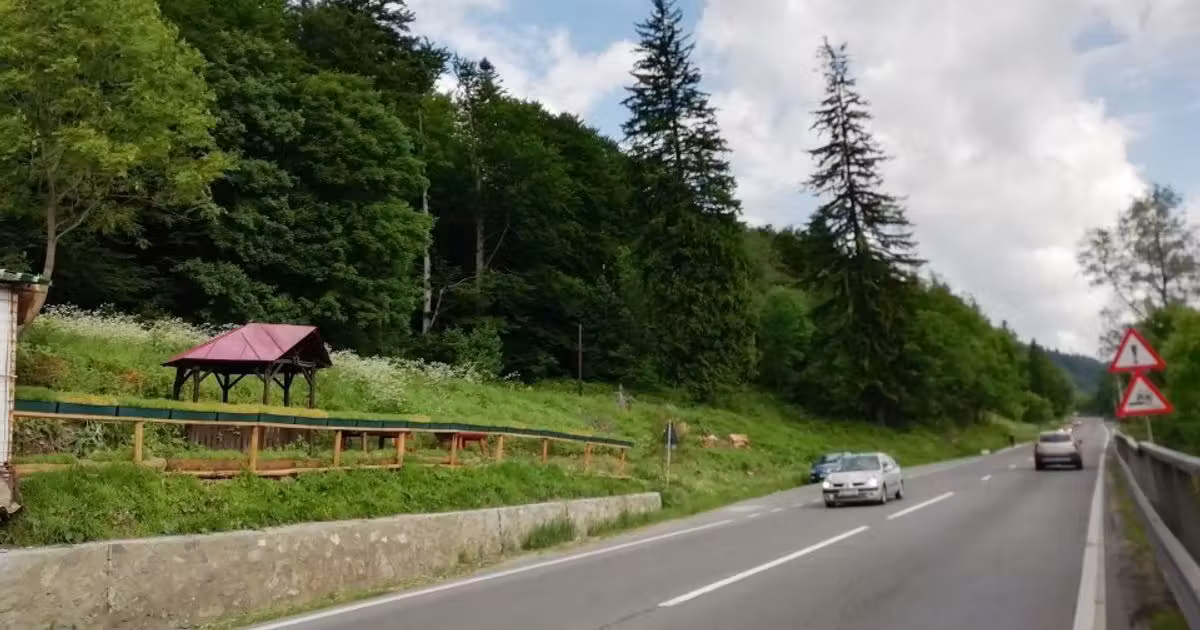 Teren Construcții intravilan de vânzare de 3999 mp, în Bușteni