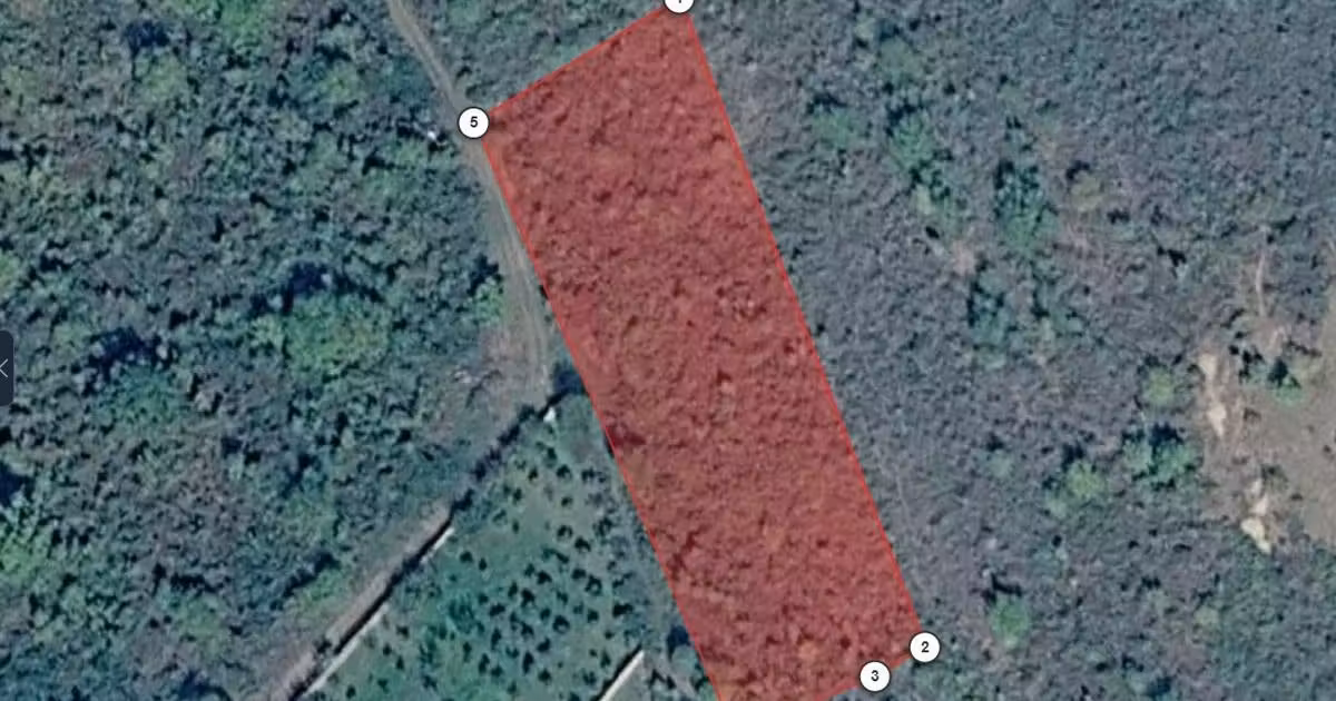 Teren extravilan de vânzare de 3500 mp, în Urlați