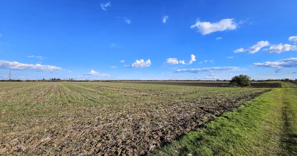 Teren agricol extravilan de vânzare de 30200 mp, în Căciulați