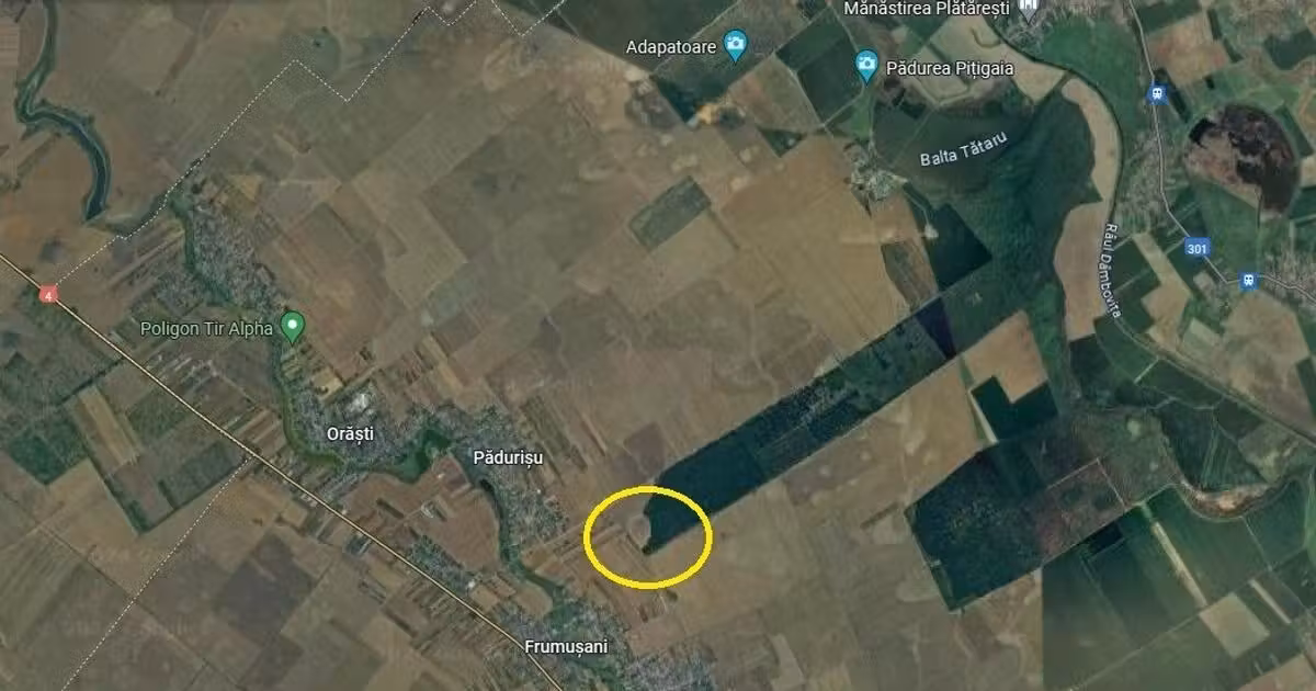 Teren agricol extravilan de vânzare de 7961 mp, în Frumușani