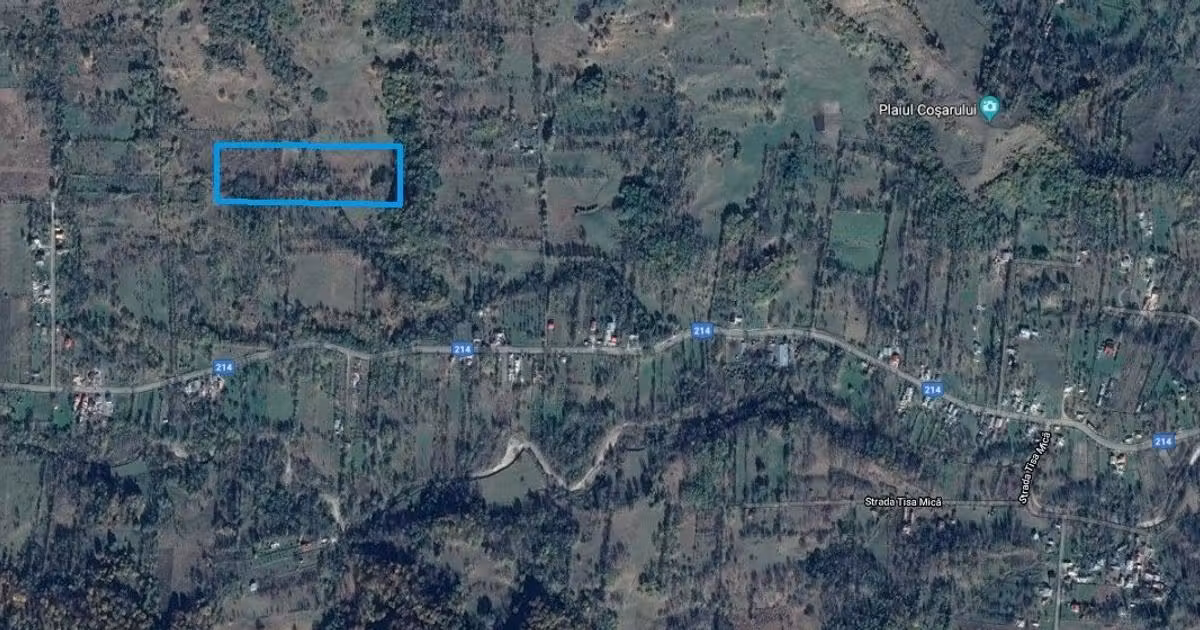 Teren agricol extravilan de vânzare de 9826 mp, în Aluniș