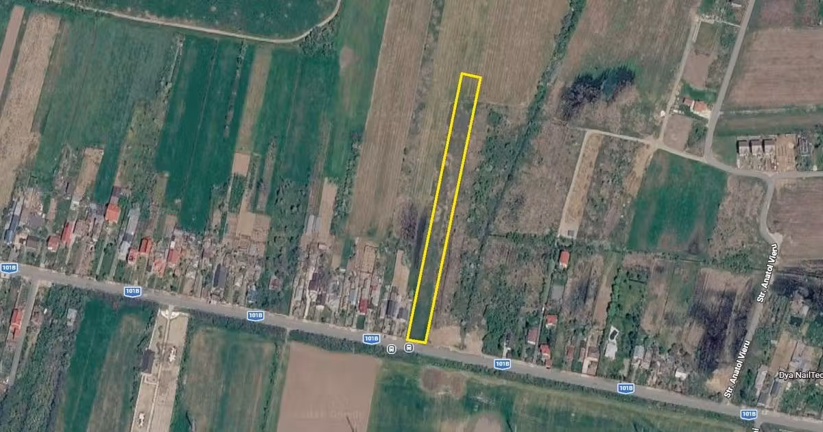 Teren Construcții intravilan de vânzare de 6296 mp, în Snagov