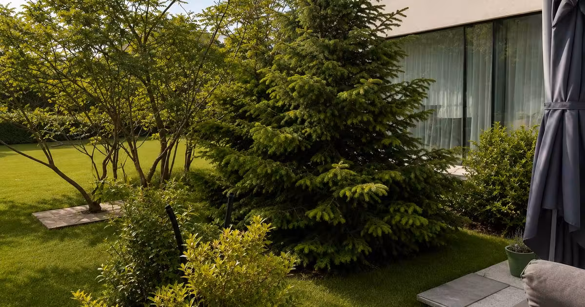 Casă individuală de vânzare cu 6 camere în zona Iancu Nicolae, Sector 1