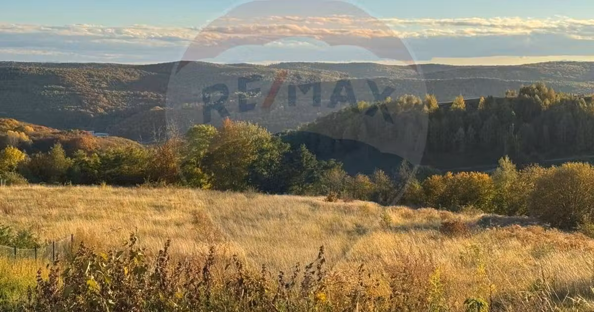 Teren intravilan de vânzare de 720 mp, în Feleacu