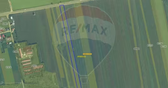 Teren Ion Neculce