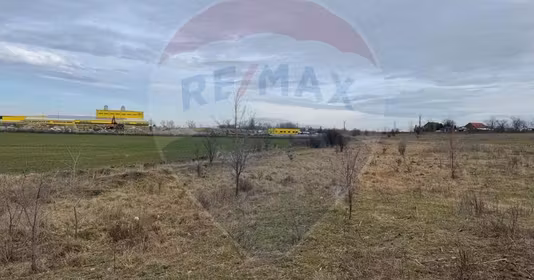 Teren 6 Vânători