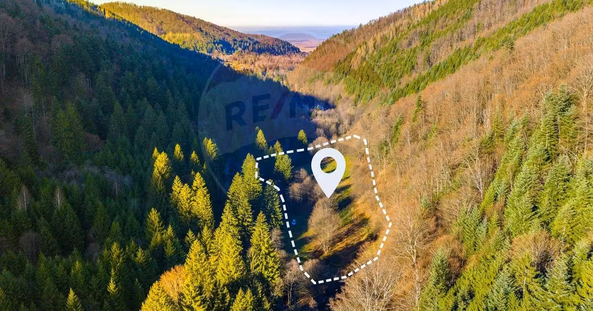 Teren Construcții intravilan de vânzare de 17939 mp, în Recea