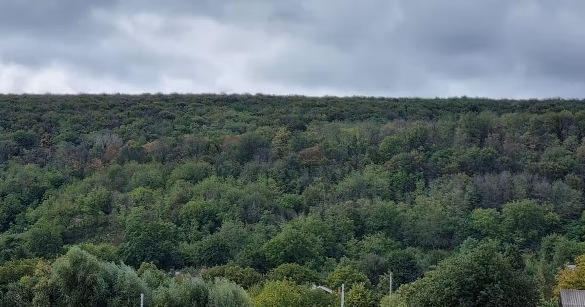 Casă individuală de vânzare cu 4 camere în zona Nord, Bacău