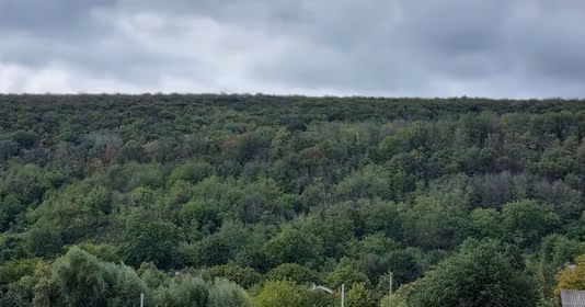 Casă Nord