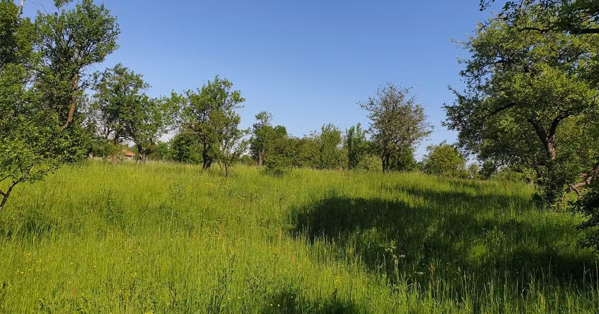 Teren Construcții intravilan de vânzare de 1000 mp, în Pădureni (Chinteni)