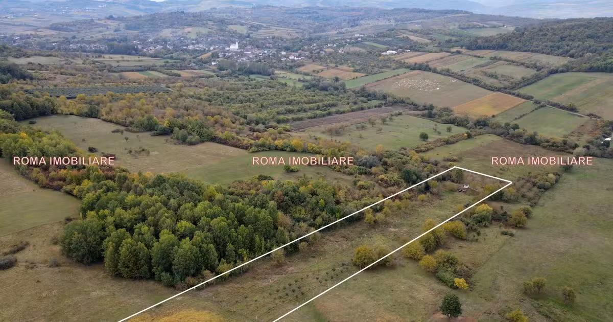 Teren extravilan de vânzare de 16116 mp, în Berchez