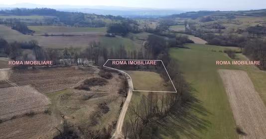 Teren Dumbrăvița