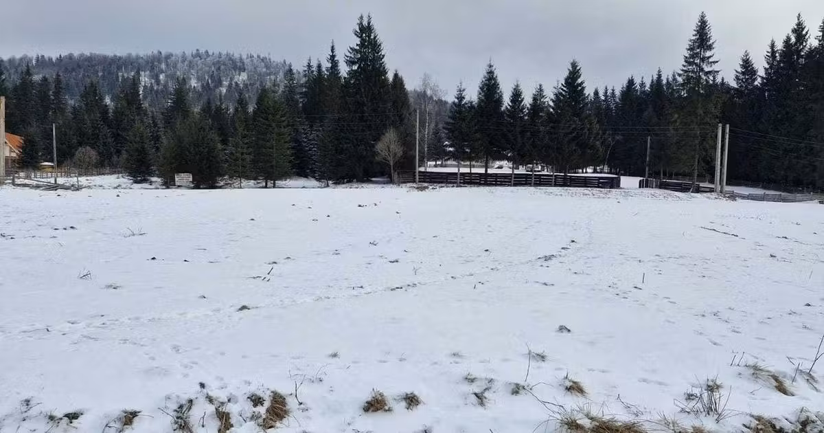 Teren agricol intravilan de vânzare de 750 mp, în Comandău