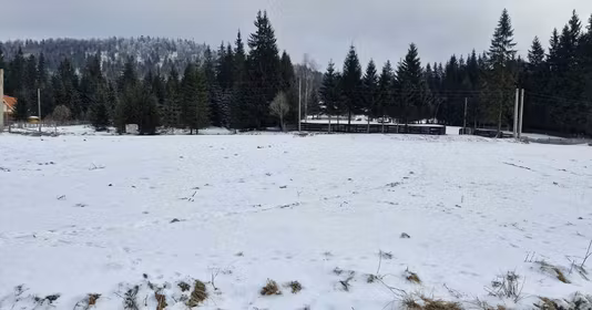 Teren Comandău