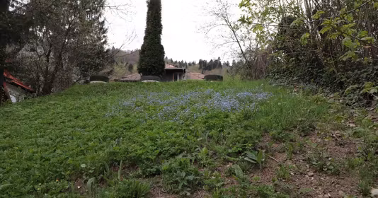 Teren Ultracentral