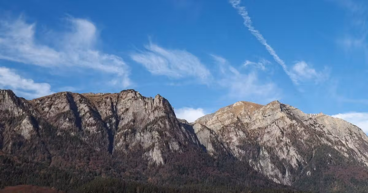 Teren intravilan de vânzare de 2675 mp, în Bușteni