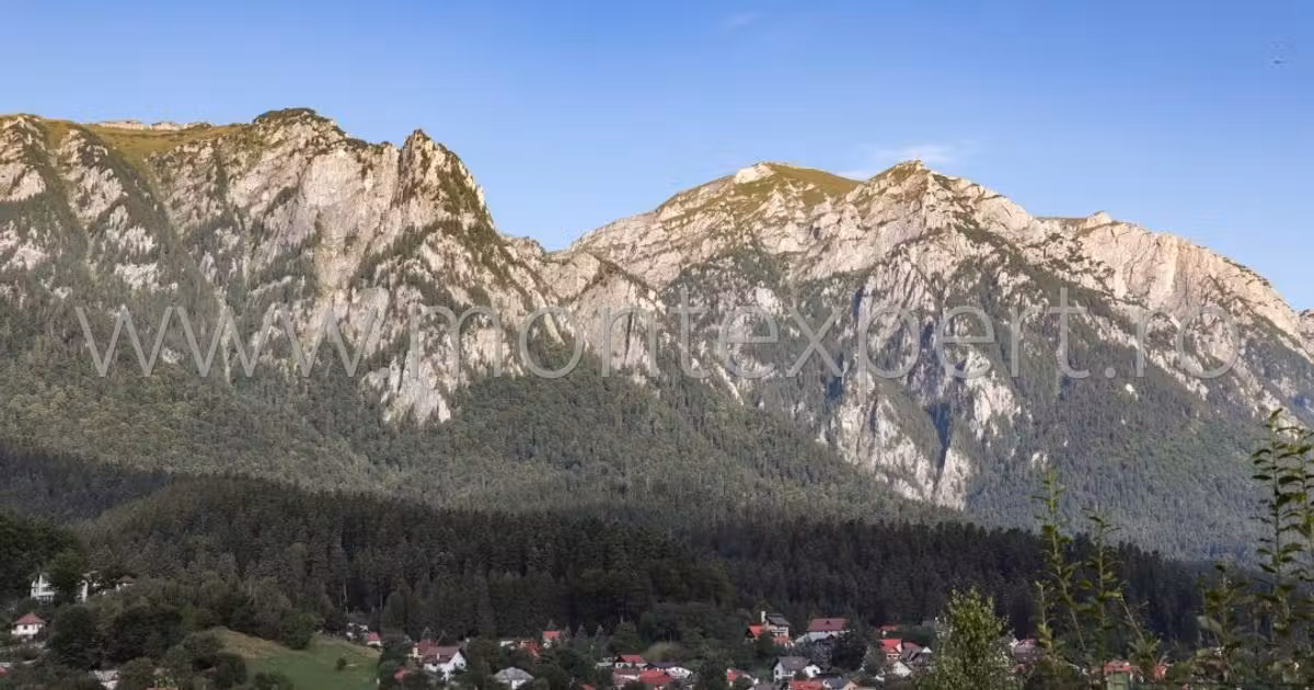 Teren Construcții intravilan de vânzare de 1500 mp, în Bușteni