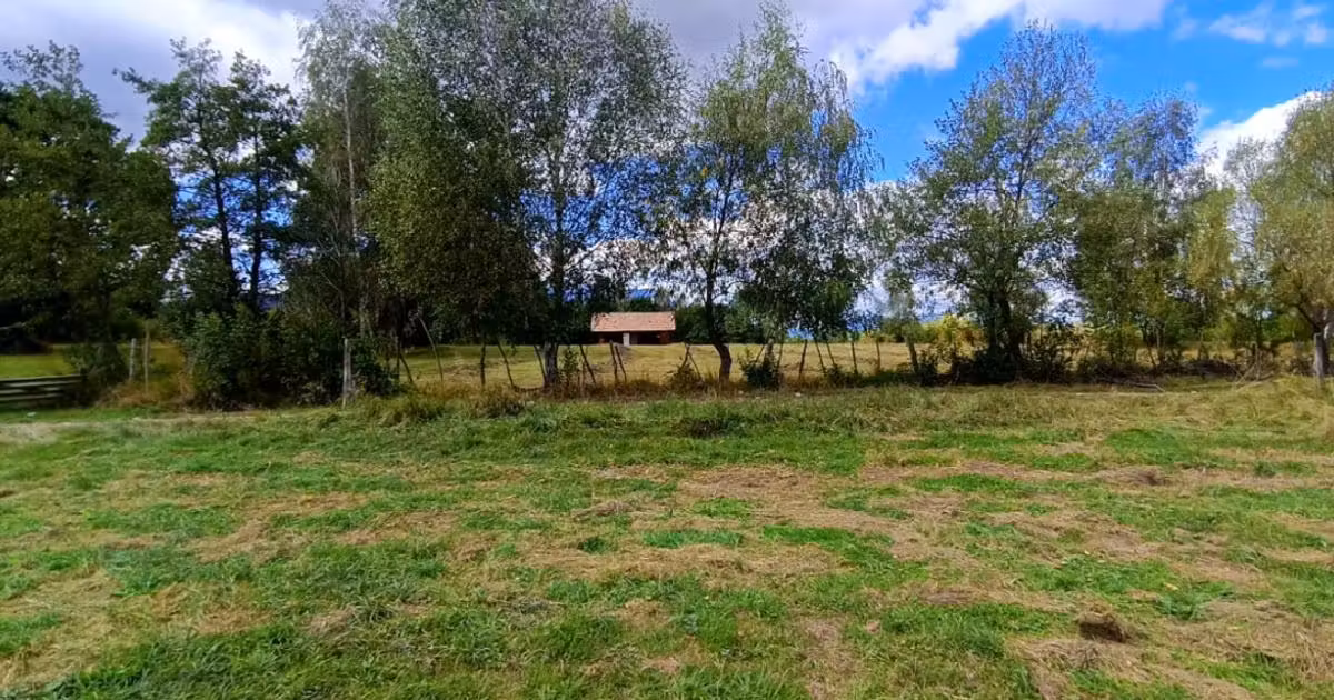 Teren agricol extravilan de vânzare de 9300 mp, în Bran