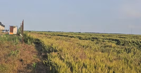 Teren Central