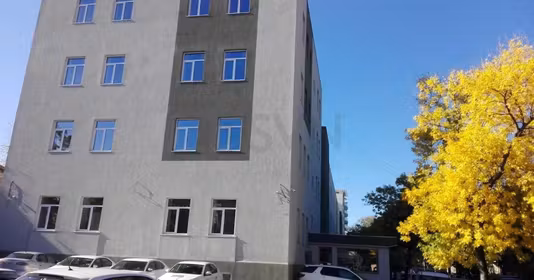 Birou Tineretului