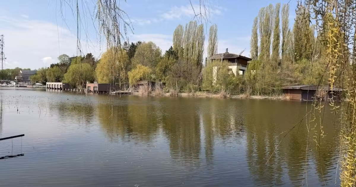 Casă individuală de vânzare cu 4 camere în Snagov