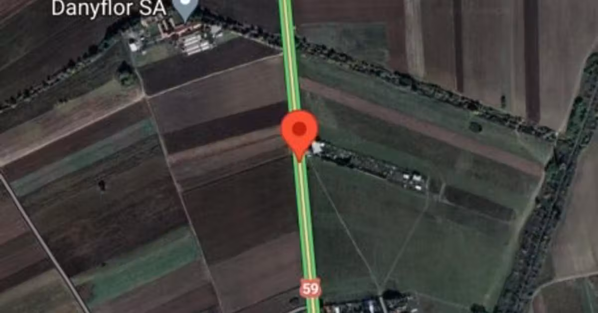 Teren Construcții intravilan de vânzare de 10000 mp, în Șag