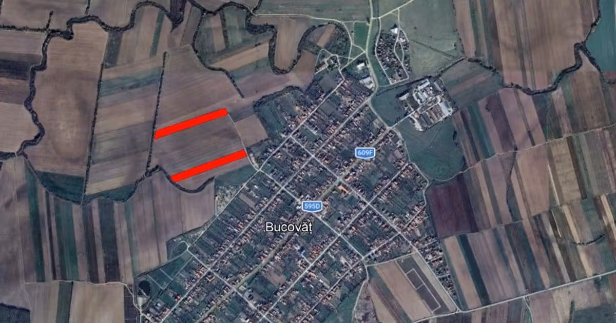 Teren agricol intravilan de vânzare de 11600 mp, în Bucovăț (Remetea Mare)