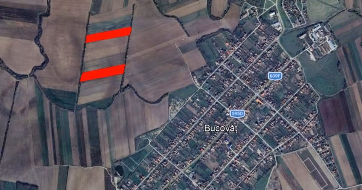 Teren agricol intravilan de vânzare de 11600 mp, în Bucovăț (Remetea Mare)