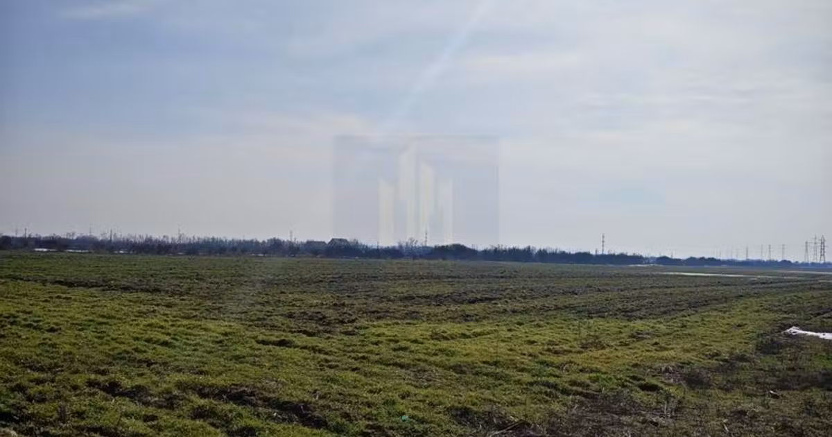 Teren Construcții intravilan de vânzare de 12831 mp, în Căciulați