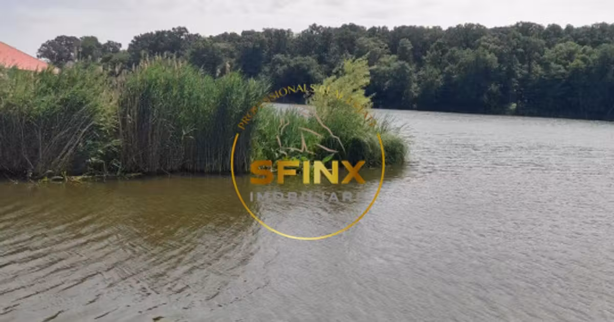 Teren Construcții intravilan de vânzare de 11700 mp, în Gruiu
