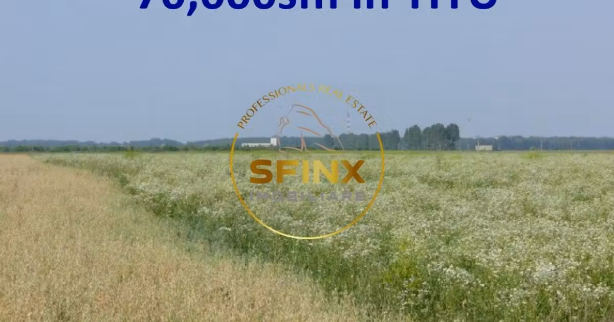 Teren agricol extravilan de vânzare de 70000 mp, în Titu