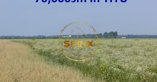 Teren Titu