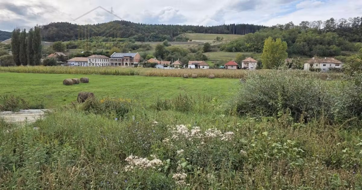 Teren Construcții intravilan de vânzare de 1500 mp, în Sânpaul